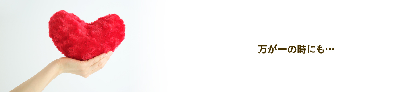 万が一の時にも
